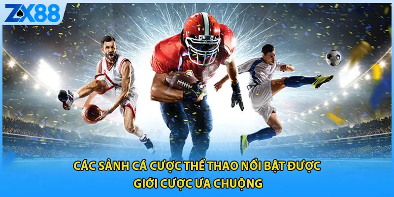 Các sảnh cá cược thể thao nổi bật được giới cược ưa chuộng